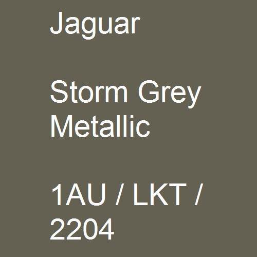Jaguar, Storm Grey Metallic, 1AU / LKT / 2204.